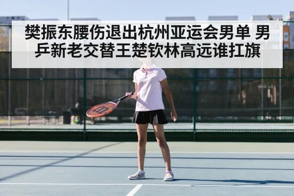 樊振东腰伤退出杭州亚运会男单 男乒新老交替王楚钦林高远谁扛旗